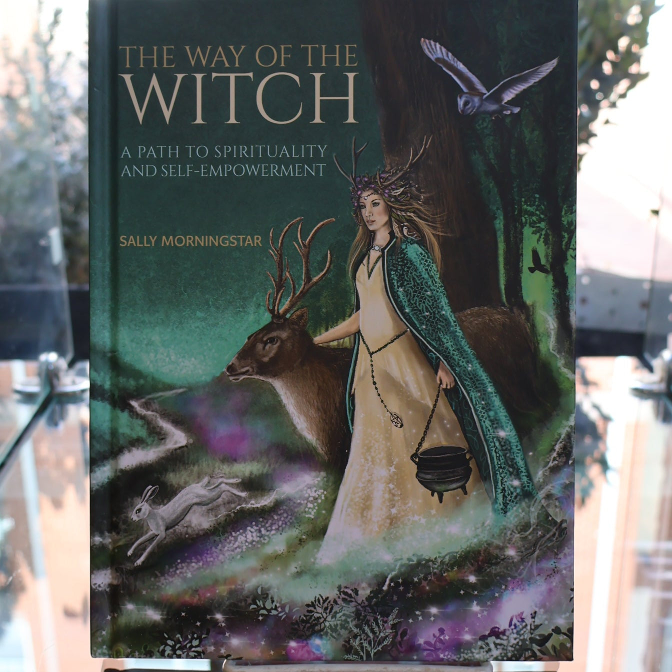 B Way Of The Witch Hardcover