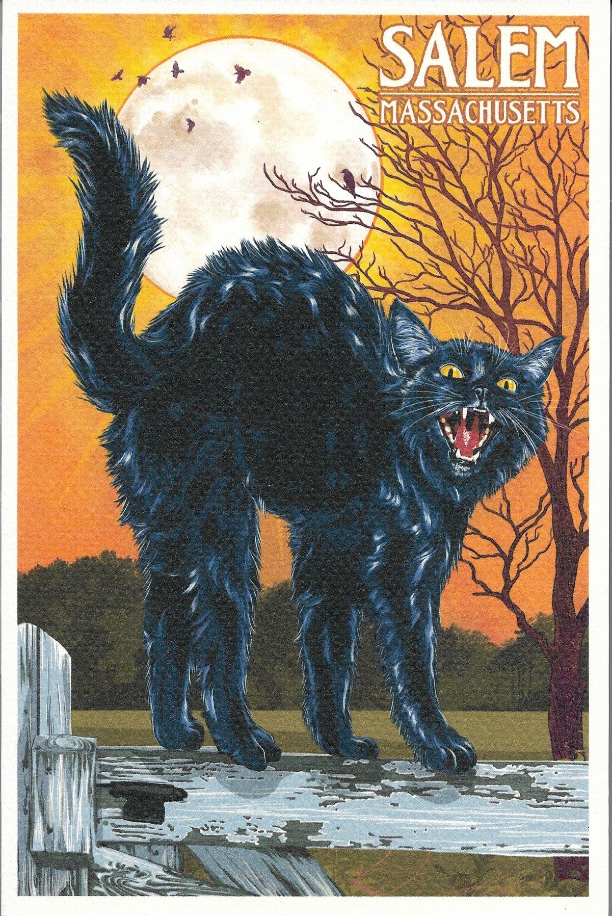 Salem Journals