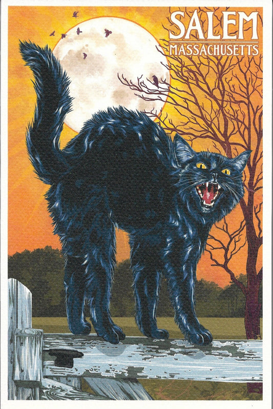 Salem Journals