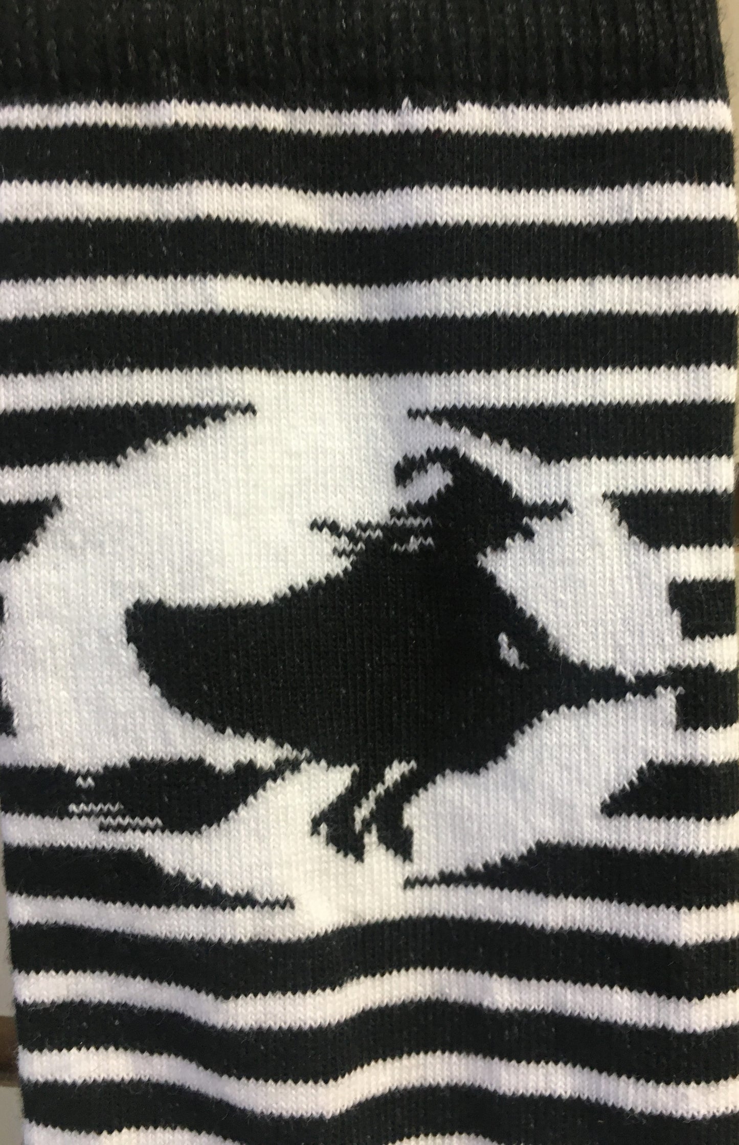 Socks Striped Salem Witch