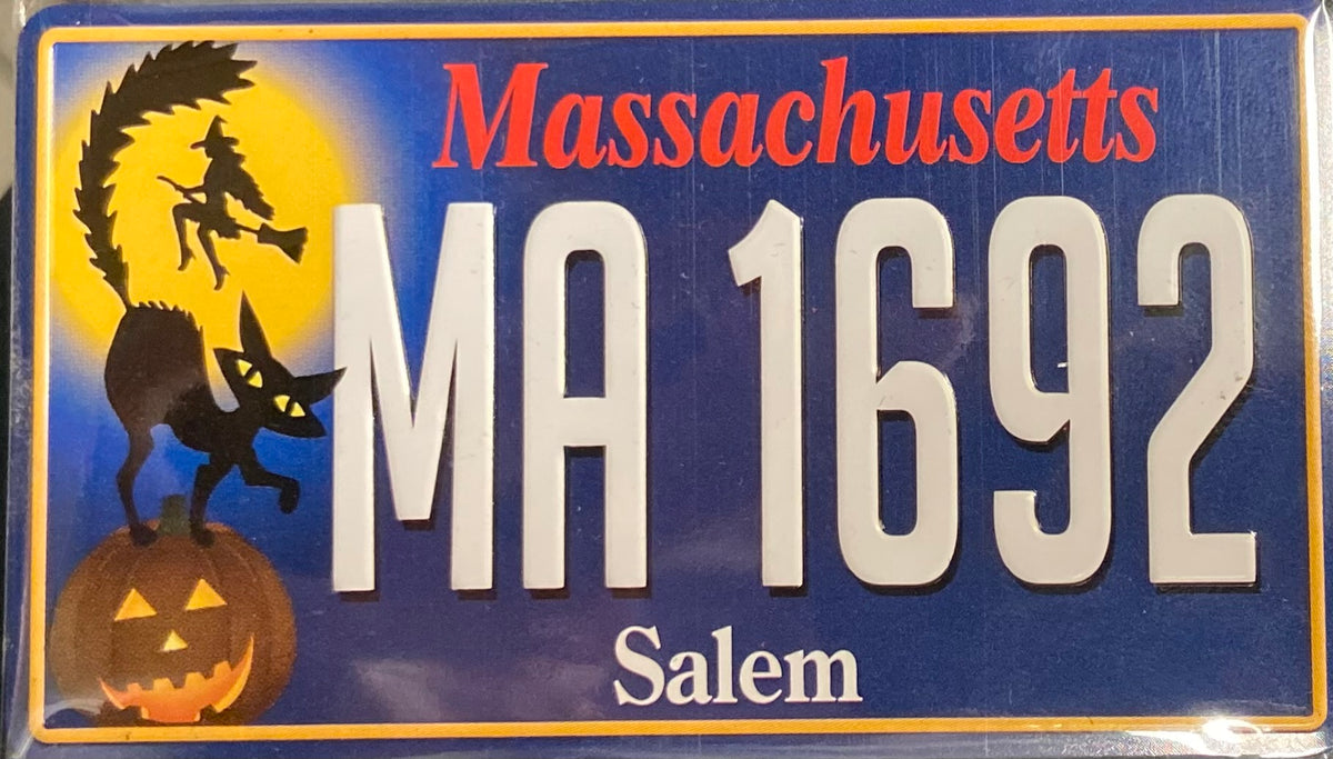 Metal Magnet Embossed License Plate