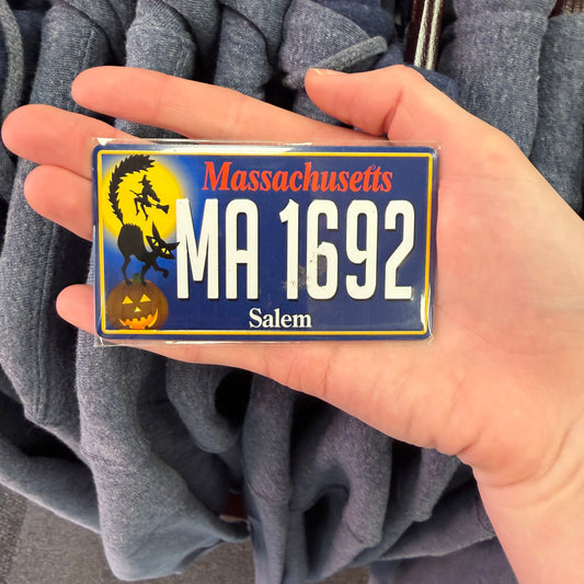 Metal Magnet Embossed License Plate