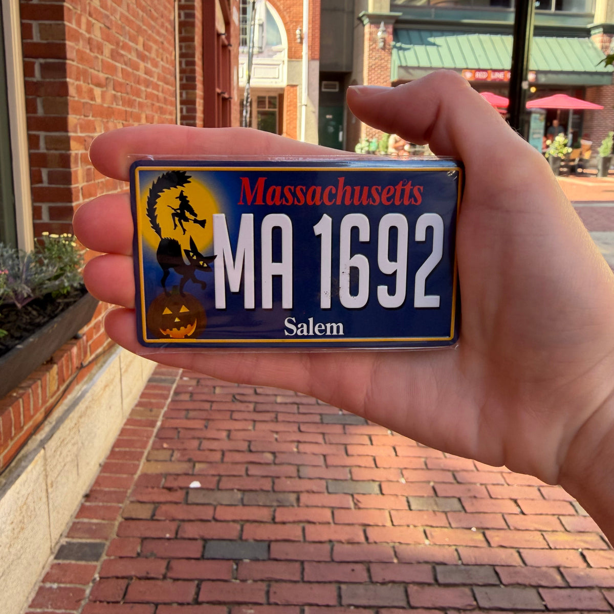 Metal Magnet Embossed License Plate
