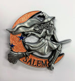 Witch on Crescent Moon Magnet